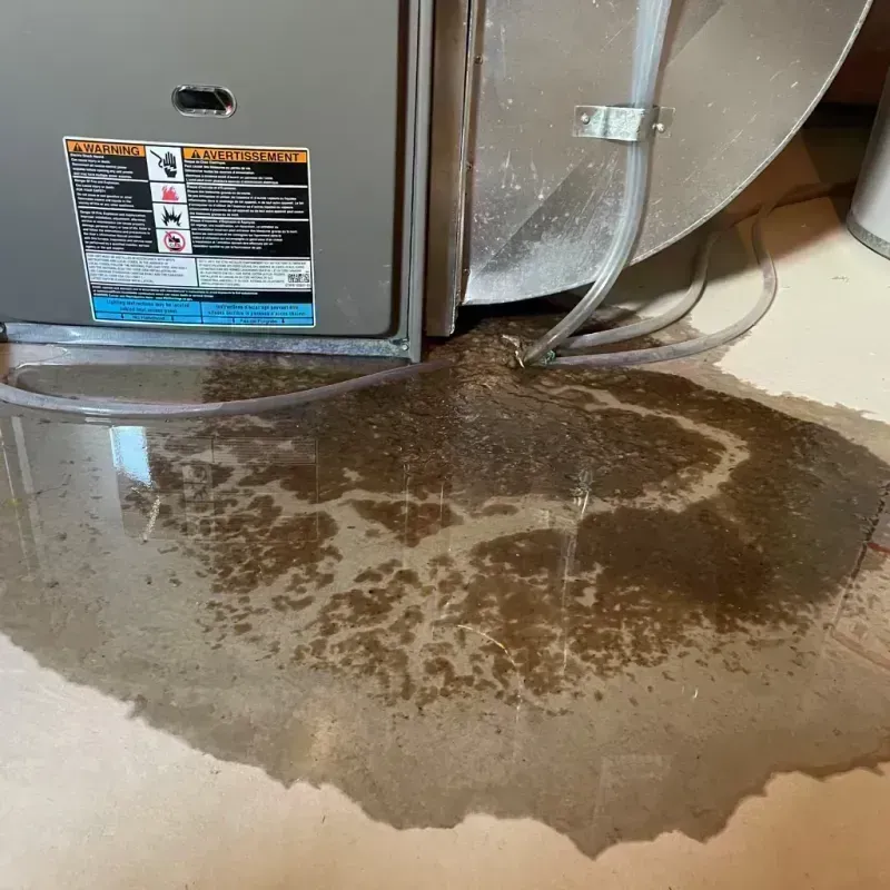 Appliance Leak Cleanup in Columbus, MS